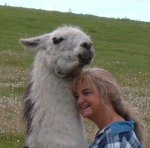 TBandL llama Tom Burke & Lynne Milsom