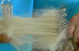combing wool cleaning, combing, hand combing wool,