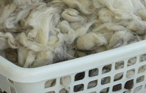 washingwool scouring wool, washing llama fibre, washing alpaca