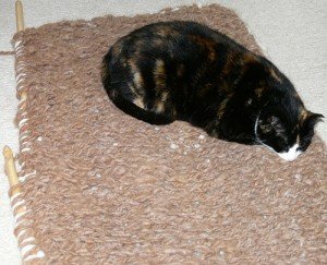 cat-on-rug double knitting, crochet, coreless core spinning, llama wool