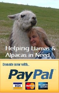 donate by paypal, credit card, supporting the llama sanctuary